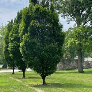 Meet your Posher, Michala